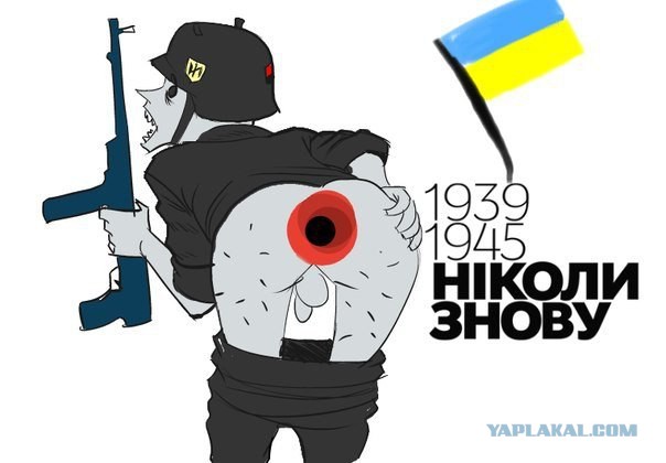 Знову дупа