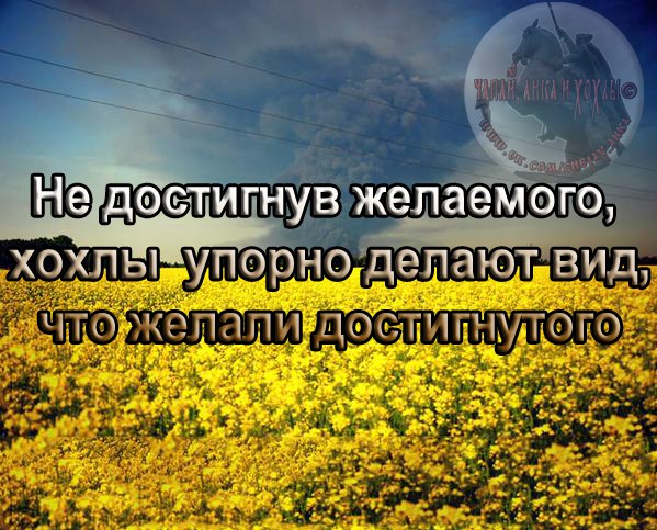 "Мыздобулы" в картинках. Смешных и не очень... 26-11-2016 "Мыздобулы" в картинках. Смешных и не очень... 26-11-2016