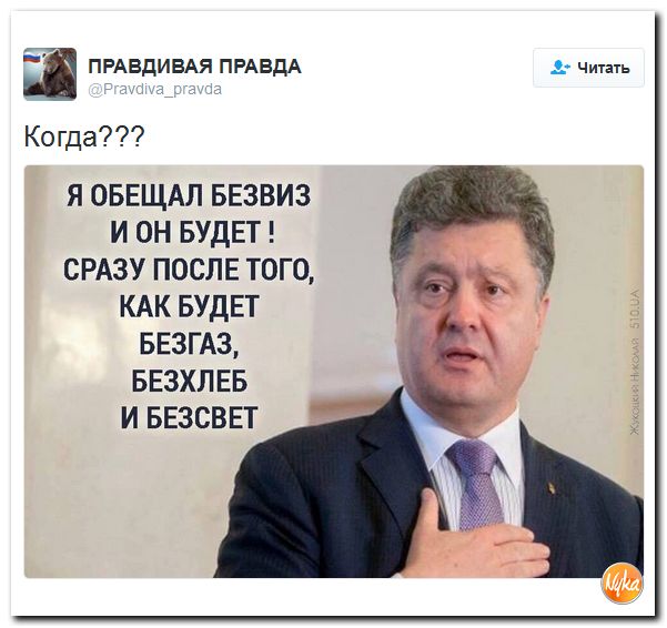 "Мыздобулы" в картинках. Смешных и не очень... 26-11-2016 "Мыздобулы" в картинках. Смешных и не очень... 26-11-2016