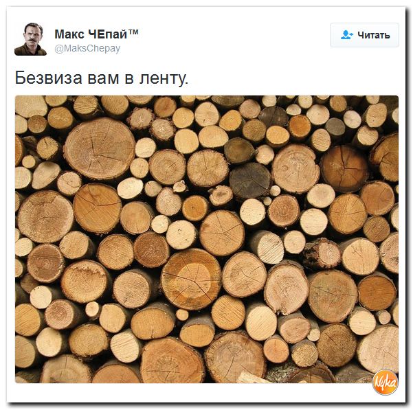 "Мыздобулы" в картинках. Смешных и не очень... 26-11-2016 "Мыздобулы" в картинках. Смешных и не очень... 26-11-2016