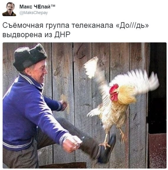 "Мыздобулы" в картинках. Смешных и не очень... 26-11-2016 "Мыздобулы" в картинках. Смешных и не очень... 26-11-2016