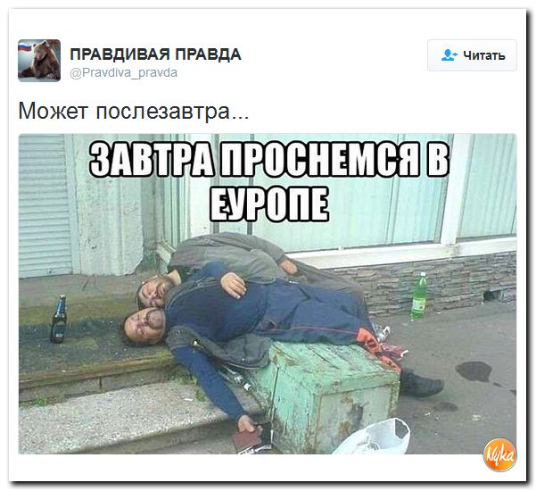 "Мыздобулы" в картинках. Смешных и не очень... 26-11-2016 "Мыздобулы" в картинках. Смешных и не очень... 26-11-2016