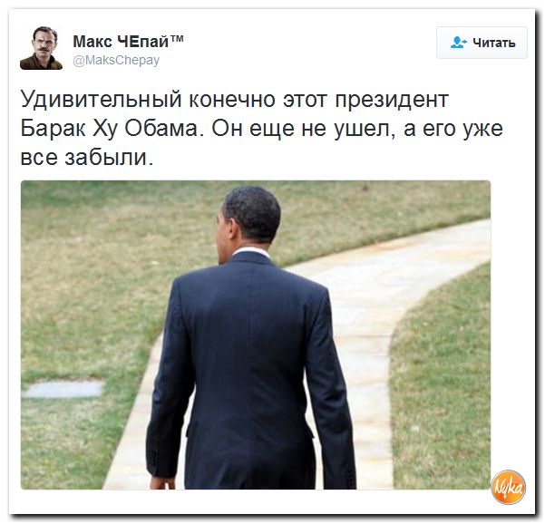 "Мыздобулы" в картинках. Смешных и не очень... 27-11-2016 "Мыздобулы" в картинках. Смешных и не очень... 27-11-2016