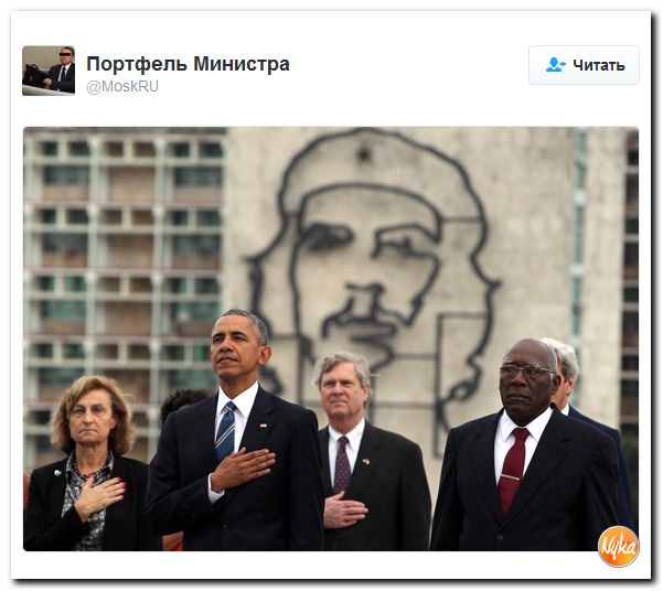 "Мыздобулы" в картинках. Смешных и не очень... 27-11-2016 "Мыздобулы" в картинках. Смешных и не очень... 27-11-2016