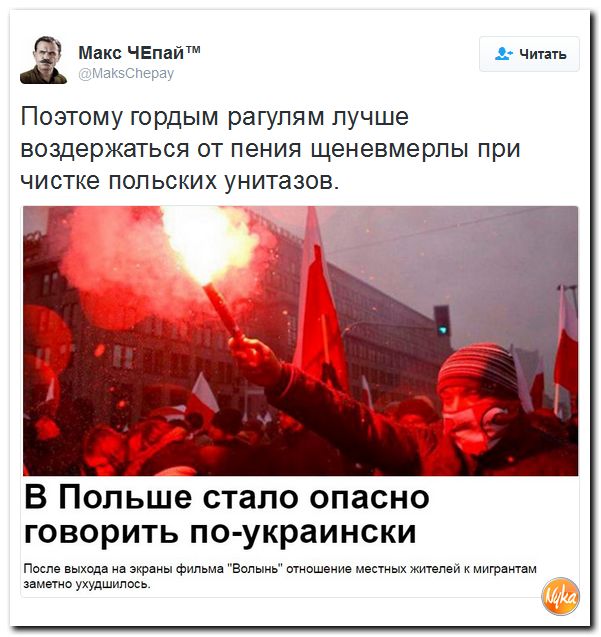 "Мыздобулы" в картинках. Смешных и не очень... 27-11-2016 "Мыздобулы" в картинках. Смешных и не очень... 27-11-2016