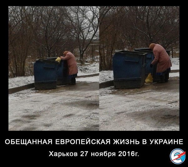 "Мыздобулы" в картинках. Смешных и не очень... 28-11-2016