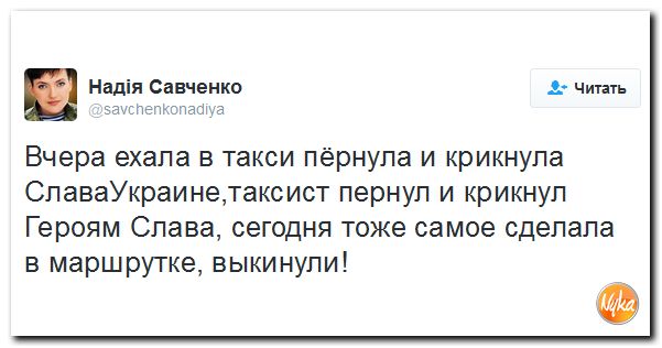 "Мыздобулы" в картинках. Смешных и не очень... 28-11-2016