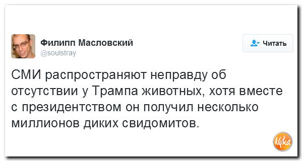 "Мыздобулы" в картинках. Смешных и не очень... 28-11-2016