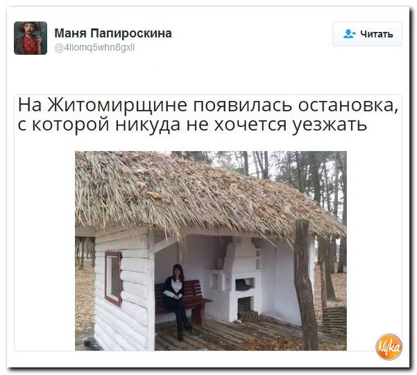 "Мыздобулы" в картинках. Смешных и не очень... 28-11-2016