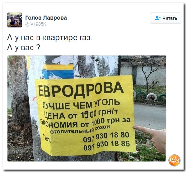 "Мыздобулы" в картинках. Смешных и не очень... 28-11-2016