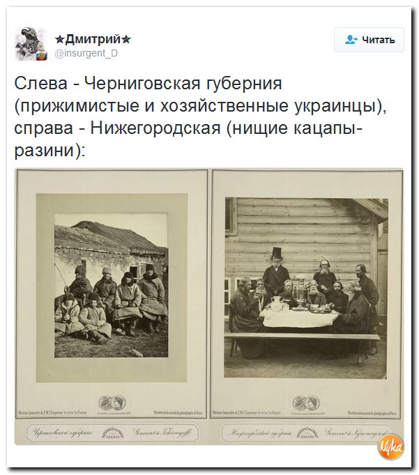 "Мыздобулы" в картинках. Смешных и не очень... 28-11-2016