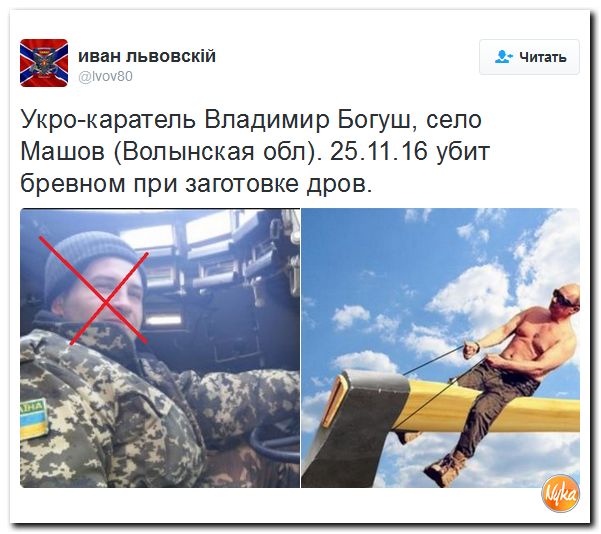 "Мыздобулы" в картинках. Смешных и не очень... 28-11-2016