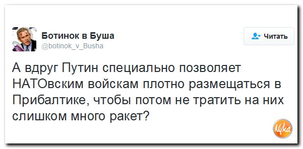 "Мыздобулы" в картинках. Смешных и не очень... 28-11-2016