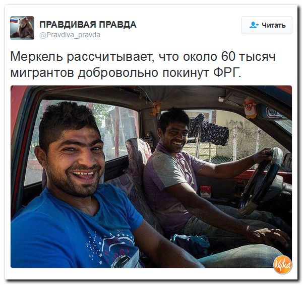 "Мыздобулы" в картинках. Смешных и не очень... 28-11-2016