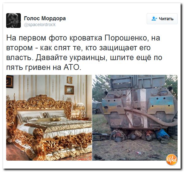 "Мыздобулы" в картинках. Смешных и не очень... 28-11-2016