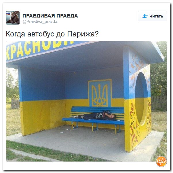 "Мыздобулы" в картинках. Смешных и не очень... 28-11-2016