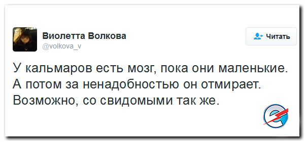 "Мыздобулы" в картинках. Смешных и не очень... 28-11-2016