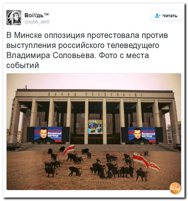 "Мыздобулы" в картинках. Смешных и не очень... 28-11-2016