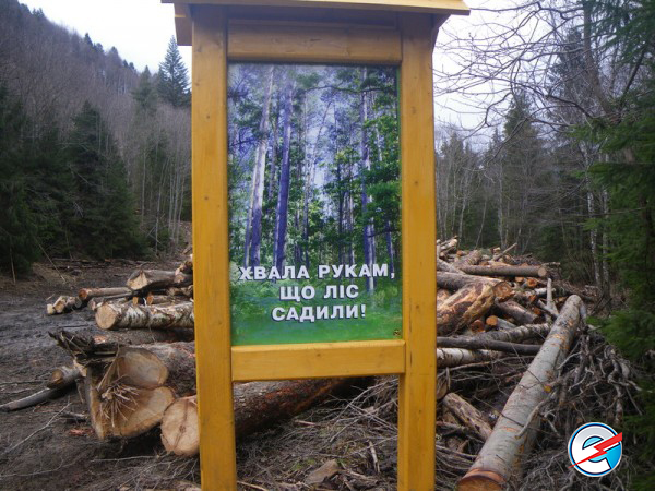 "Мыздобулы" в картинках. Смешных и не очень... 28-11-2016