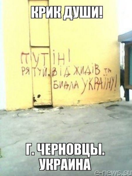 "Мыздобулы" в картинках. Смешных и не очень... 29-11-2016 "Мыздобулы" в картинках. Смешных и не очень... 29-11-2016