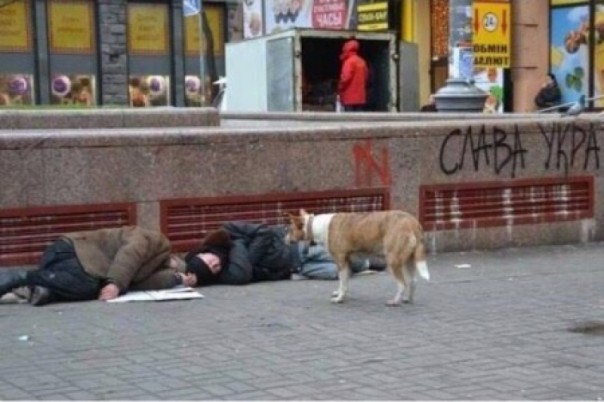 Евросоюз – Украина: готовятся выгнать перед тем, как пригласить. Владимир Скачко