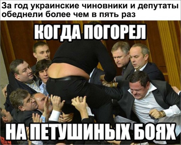 "Мыздобулы" в картинках. Смешных и не очень... 1-11-2016 "Мыздобулы" в картинках. Смешных и не очень... 1-11-2016