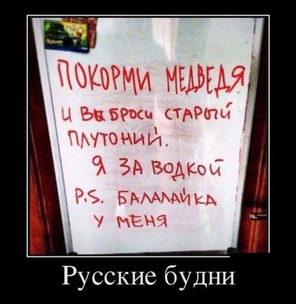 "Мыздобулы" в картинках. Смешных и не очень... 1-11-2016 "Мыздобулы" в картинках. Смешных и не очень... 1-11-2016