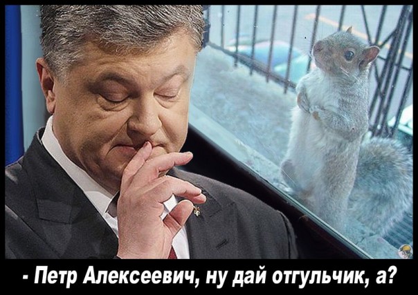 "Мыздобулы" в картинках. Смешных и не очень... 2-11-2016 "Мыздобулы" в картинках. Смешных и не очень... 2-11-2016