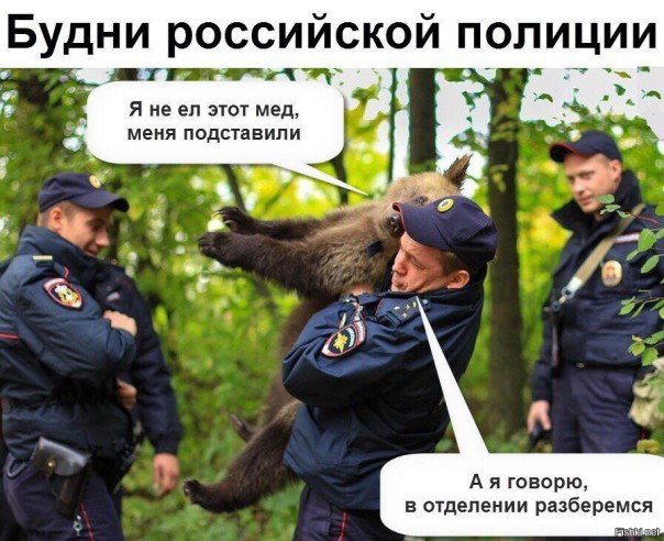 "Мыздобулы" в картинках. Смешных и не очень... 2-11-2016 "Мыздобулы" в картинках. Смешных и не очень... 2-11-2016