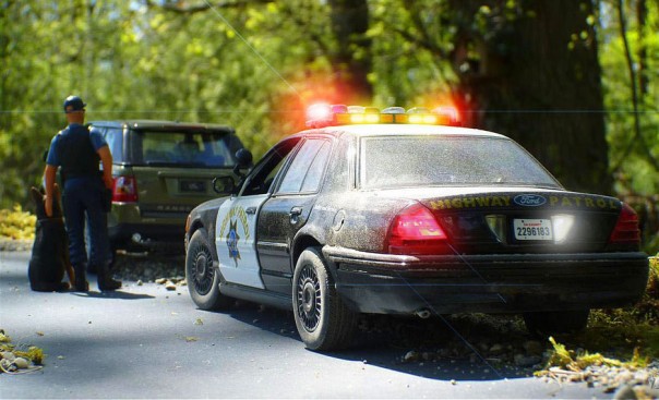 Видео: американцы придумали способ для остановки машин нарушителей