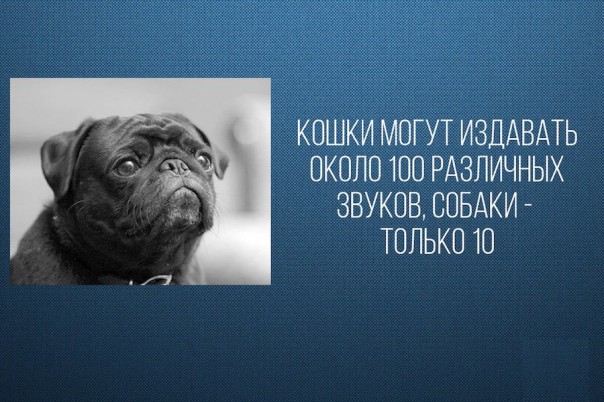 Интересные факты 2