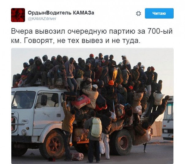 "Мыздобулы" в картинках. Смешных и не очень... 4-11-2016