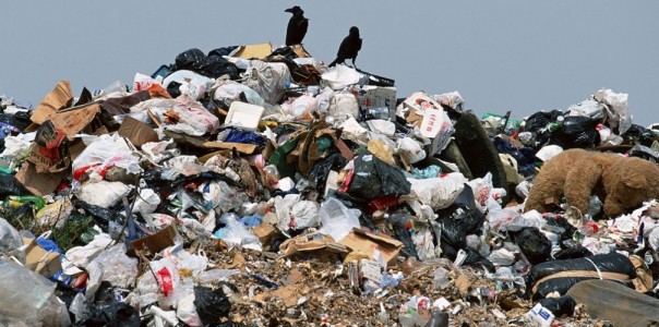 У вас ещё нет львовского мусора?! Тогда мы едем к вам!