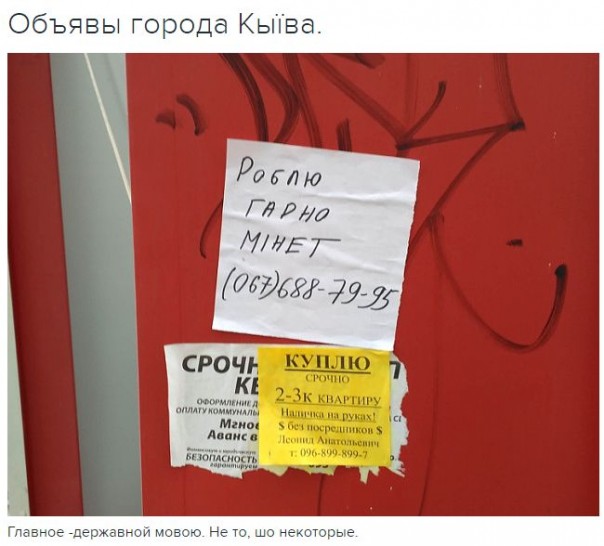 "Мыздобулы" в картинках. Смешных и не очень... 6-11-2016