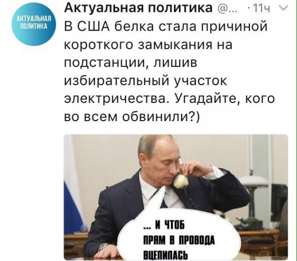 "Мыздобулы" в картинках. Смешных и не очень... 6-11-2016