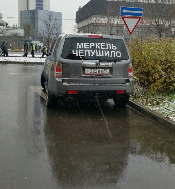 "Мыздобулы" в картинках. Смешных и не очень... 6-11-2016