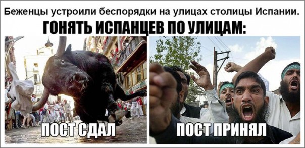 "Мыздобулы" в картинках. Смешных и не очень... 7-11-2016