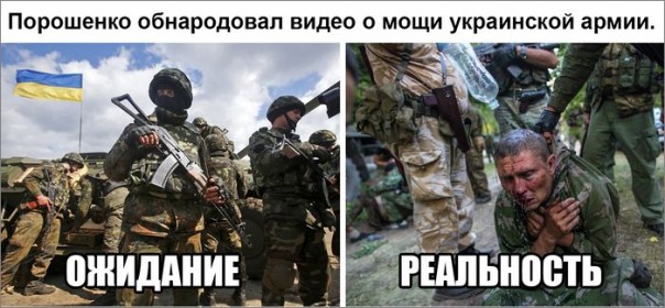 "Мыздобулы" в картинках. Смешных и не очень... 7-11-2016