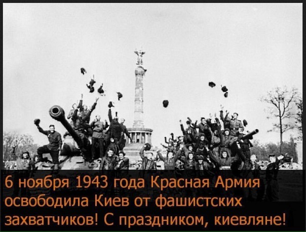 "Мыздобулы" в картинках. Смешных и не очень... 8-11-2016
