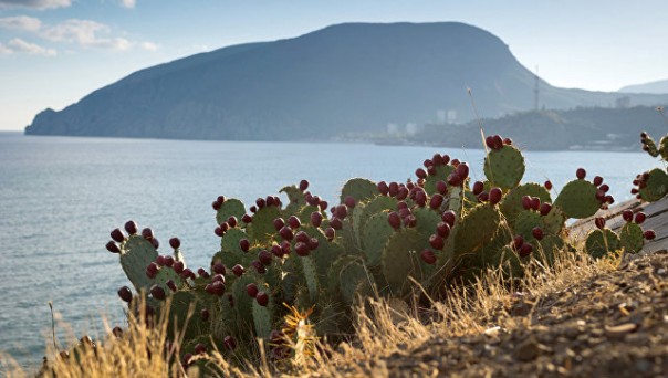 Украина представила в ООН проект по Крыму