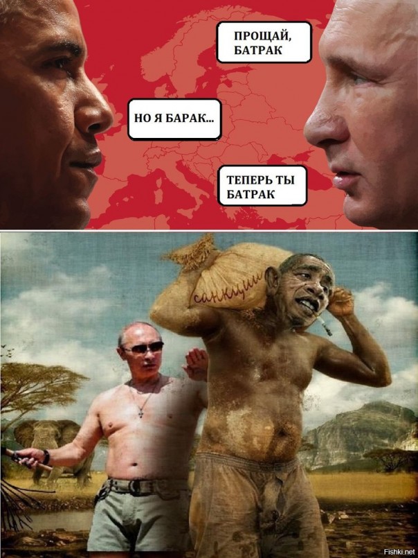 "Мыздобулы" в картинках. Смешных и не очень... 9-11-2016 (2)