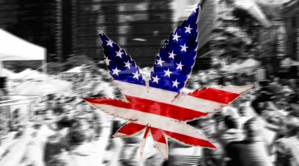 Как марихуана повлияла на выборы президента США