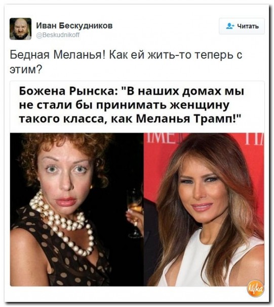 Курицина разбушевалась Курицина разбушевалась