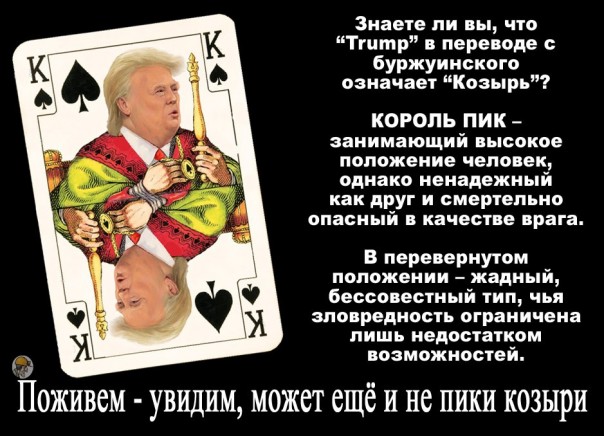 "Мыздобулы" в картинках. Смешных и не очень... 11-11-2016 "Мыздобулы" в картинках. Смешных и не очень... 11-11-2016