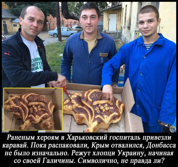 "Мыздобулы" в картинках. Смешных и не очень... 11-11-2016 "Мыздобулы" в картинках. Смешных и не очень... 11-11-2016