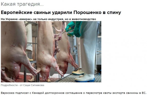 "Мыздобулы" в картинках. Смешных и не очень... 12-11-2016 "Мыздобулы" в картинках. Смешных и не очень... 12-11-2016