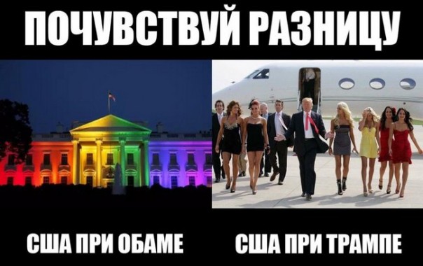 "Мыздобулы" в картинках. Смешных и не очень... 12-11-2016 "Мыздобулы" в картинках. Смешных и не очень... 12-11-2016