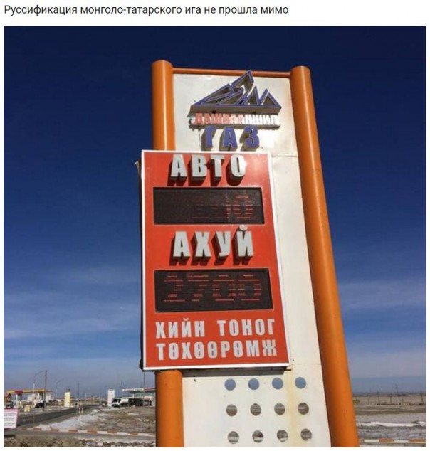 "Мыздобулы" в картинках. Смешных и не очень... 13-11-2016