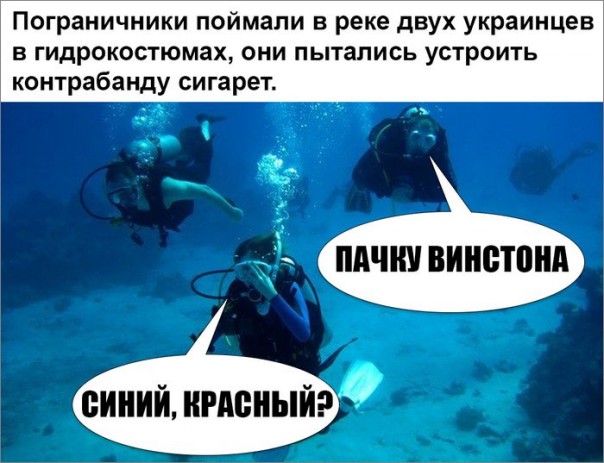 "Мыздобулы" в картинках. Смешных и не очень... 13-11-2016