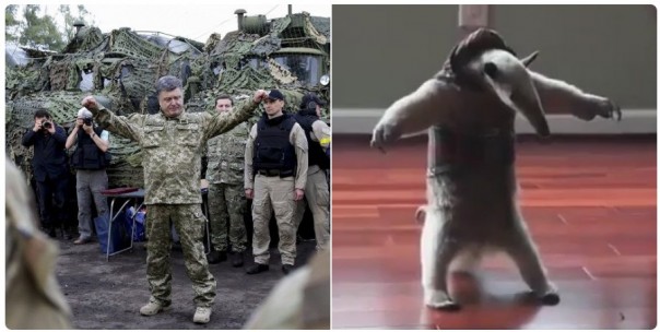 "Мыздобулы" в картинках. Смешных и не очень... 13-11-2016